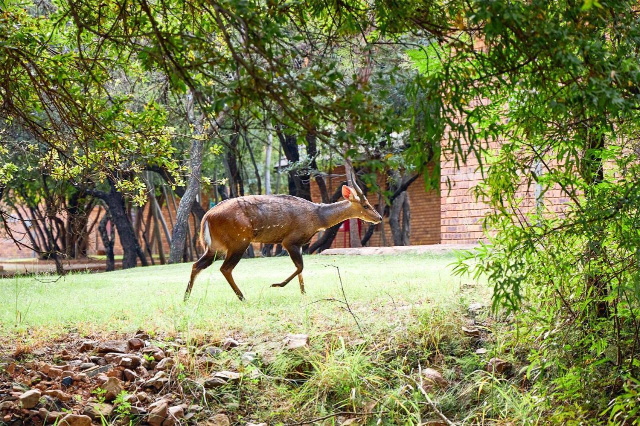 Hotel First Group Magalies Park Hartbeespoort Zewnętrze zdjęcie