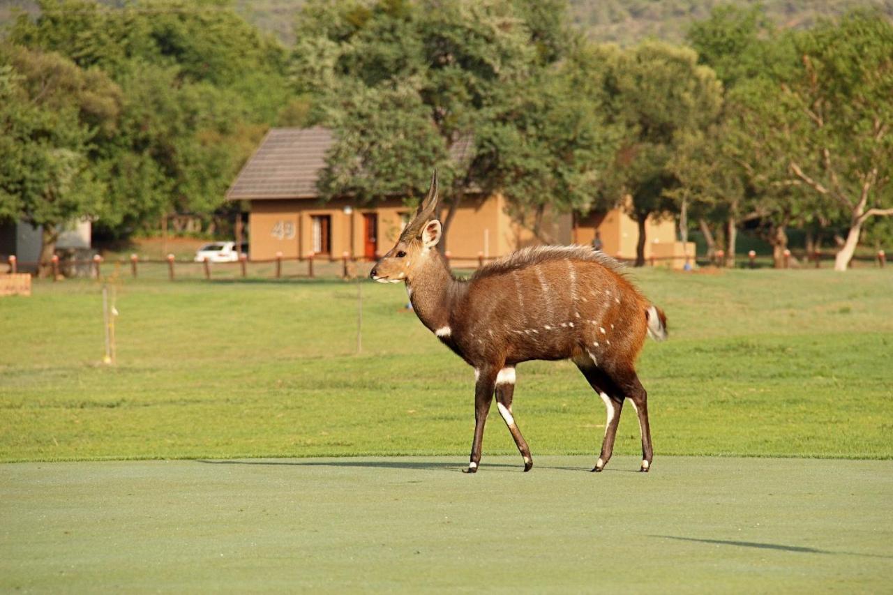 Hotel First Group Magalies Park Hartbeespoort Zewnętrze zdjęcie