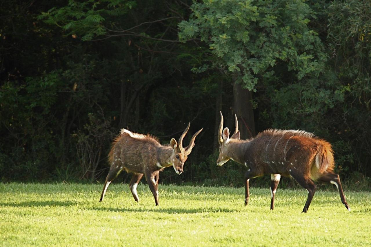 Hotel First Group Magalies Park Hartbeespoort Zewnętrze zdjęcie